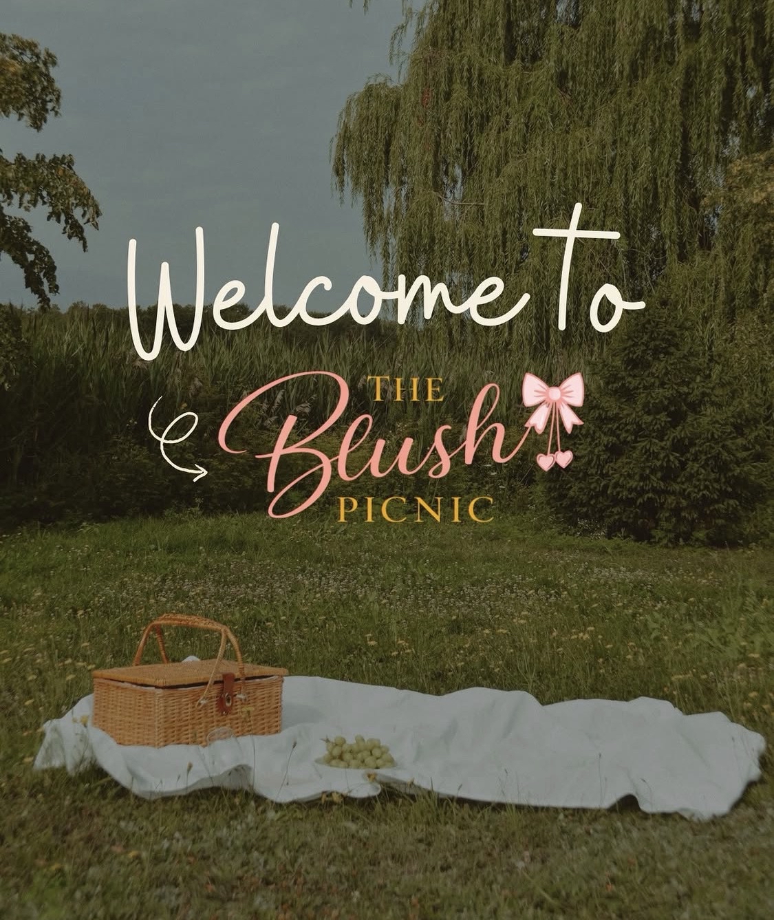 Welcome to The Blush Picnic
